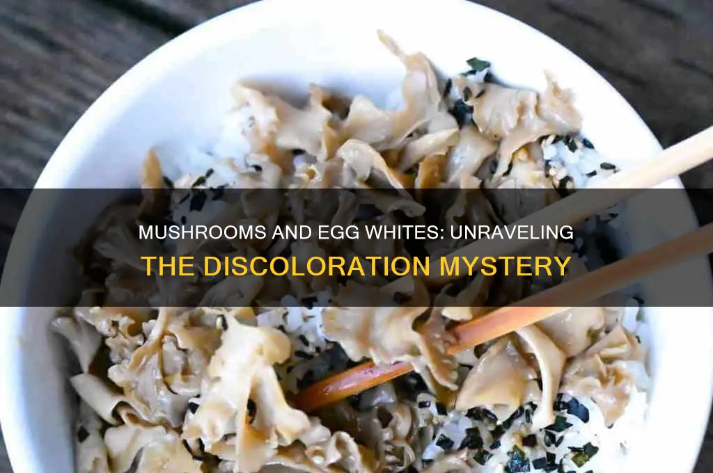 can mushrooms discolor egg whites