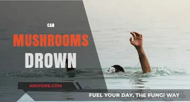 Can Mushrooms Drown? Exploring the Survival Limits of Fungi