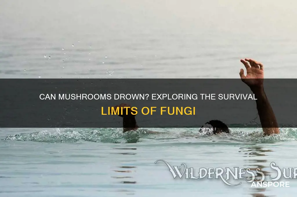 can mushrooms drown