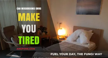 Can Mushroom Drugs Cause Fatigue? Exploring Psilocybin's Tiring Effects