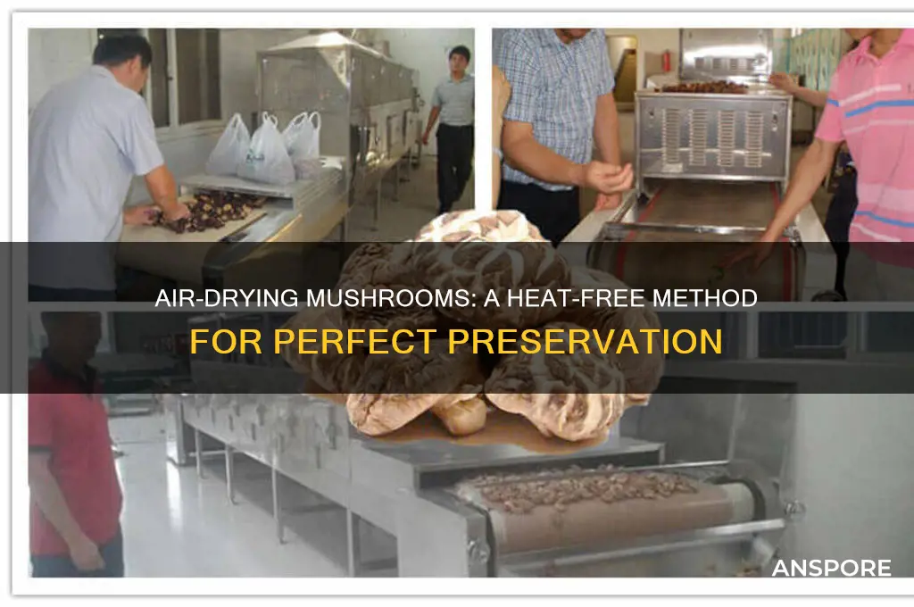 can mushrooms dry without heat