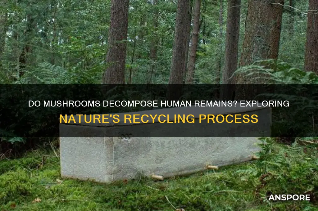 can mushrooms eat dead people