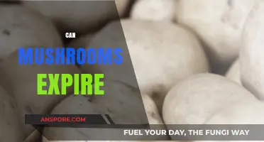 Do Mushrooms Go Bad? Shelf Life and Storage Tips Explained