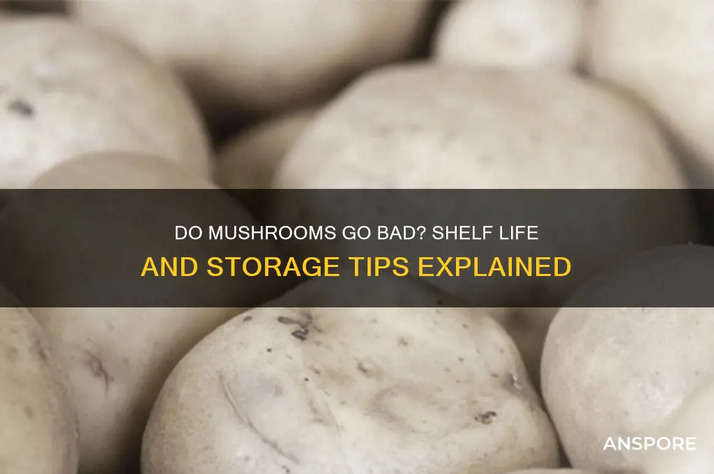 can mushrooms expire