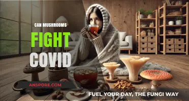 Mushrooms' Potential Role in Combating COVID-19: A Natural Defense?