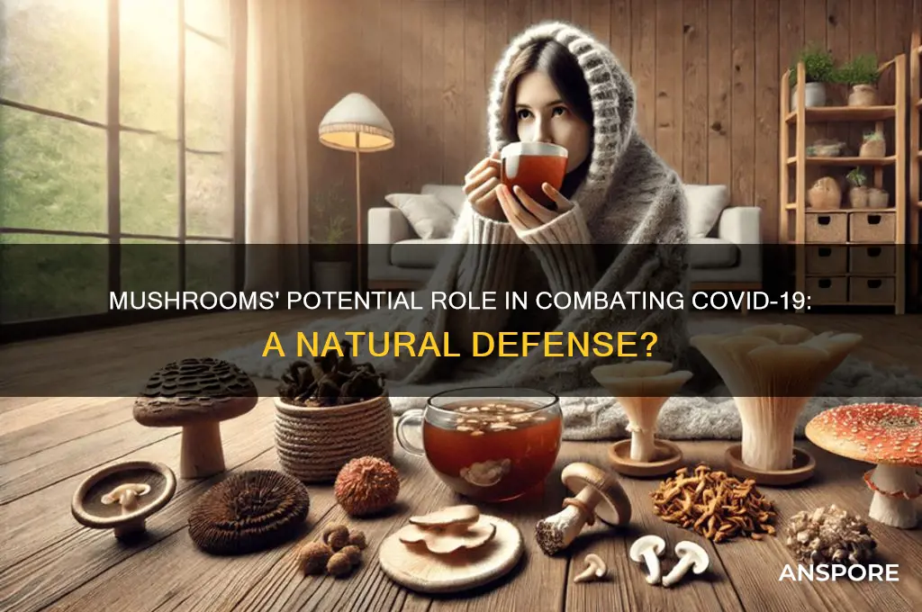 can mushrooms fight covid
