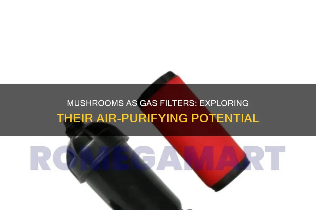can mushrooms filter gas