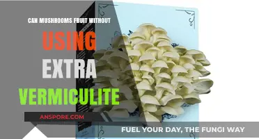 Mushroom Fruiting Without Vermiculite: Alternative Methods for Successful Harvests