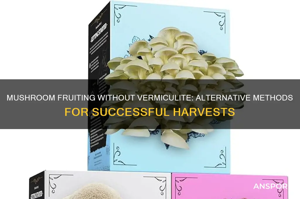 can mushrooms fruit without using extra vermiculite