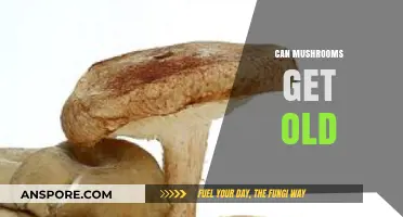 Do Mushrooms Age? Exploring the Lifespan of Fungi