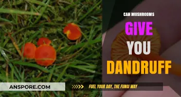Mushrooms and Dandruff: Unraveling the Surprising Connection and Facts