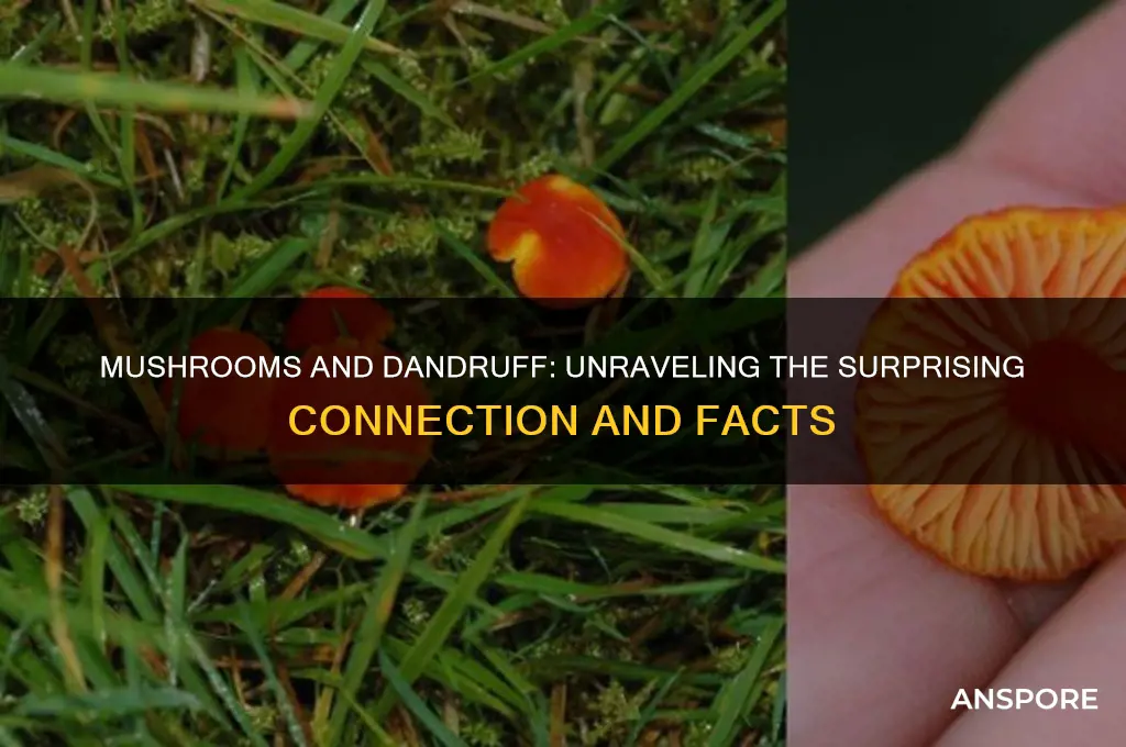can mushrooms give you dandruff