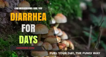 Mushrooms and Diarrhea: Understanding Prolonged Digestive Discomfort Causes