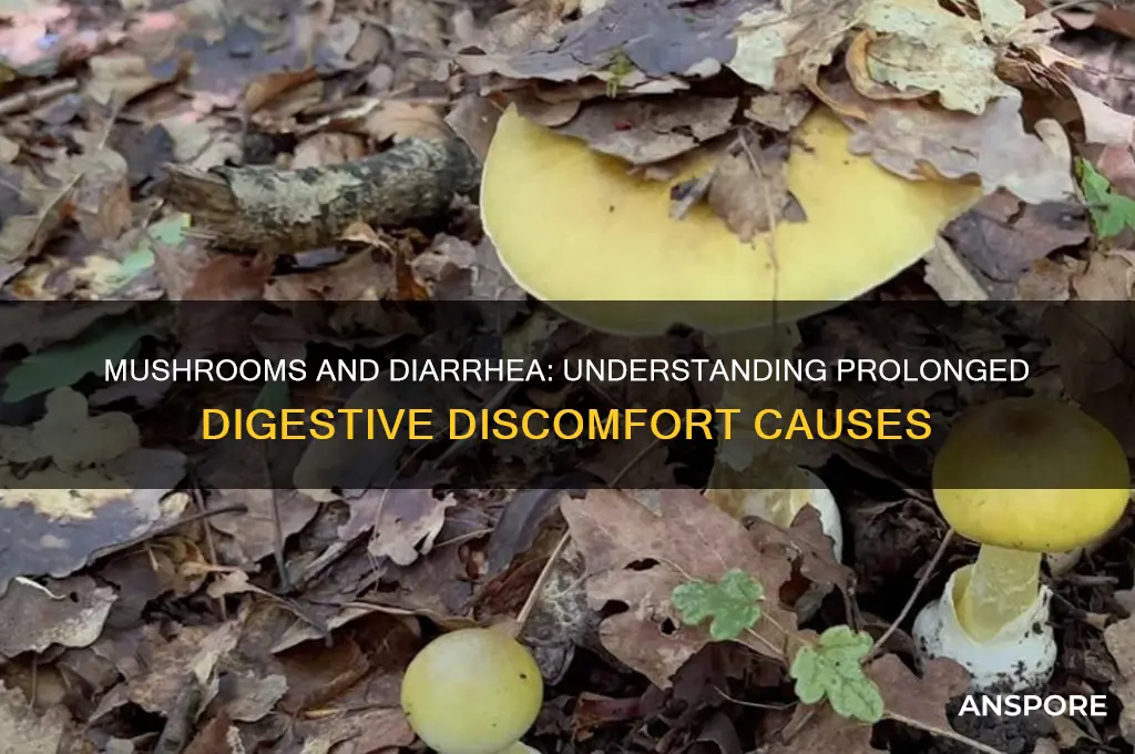 can mushrooms give you diarrhea for days