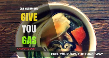 Can Mushrooms Cause Gas? Exploring Digestive Effects of Fungi