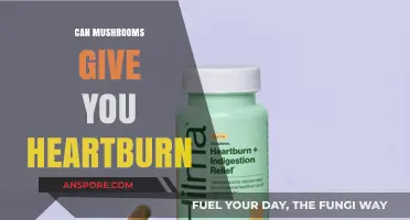Mushrooms and Heartburn: Unraveling the Surprising Connection and Remedies