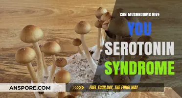Mushrooms and Serotonin Syndrome: Unraveling the Risks and Realities