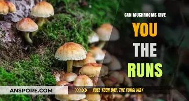Mushrooms and Diarrhea: Unraveling the Truth Behind the Runs