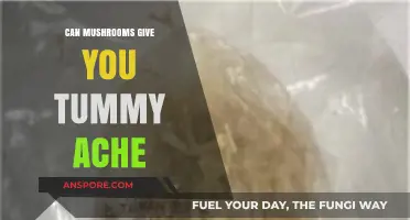 Can Mushrooms Upset Your Stomach? Exploring Digestive Discomfort Causes