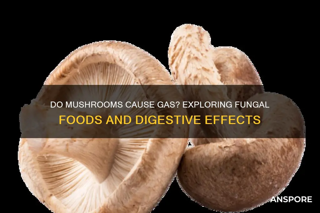 can mushrooms give you wind