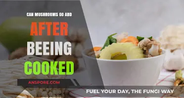 Can Cooked Mushrooms Spoil? Understanding Shelf Life and Safety Tips