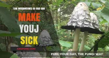 Can Mushrooms Spoil and Cause Illness? A Comprehensive Guide