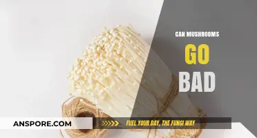 Do Mushrooms Spoil? Shelf Life and Storage Tips Explained