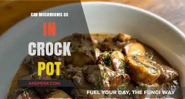 Can Mushrooms Go in a Crock Pot? Tips and Tricks