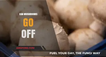 Do Mushrooms Expire? Shelf Life and Spoilage Signs Explained