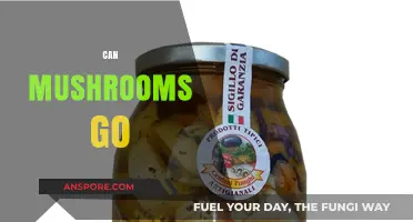 Can Mushrooms Go Bad? Shelf Life, Storage Tips, and Safety Guide