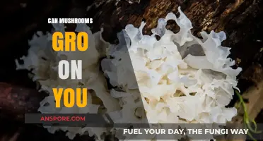 Can Mushrooms Grow on Humans? Debunking Myths and Facts