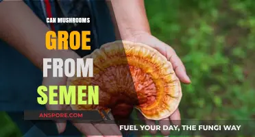 Can Mushrooms Grow from Semen? Exploring the Science and Myths