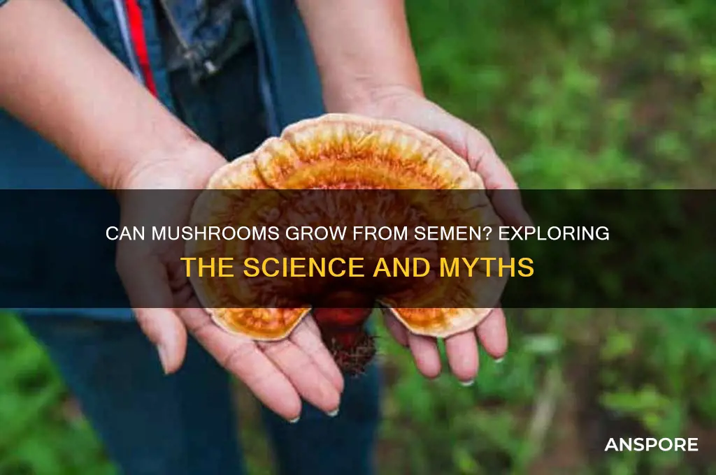 can mushrooms groe from semen