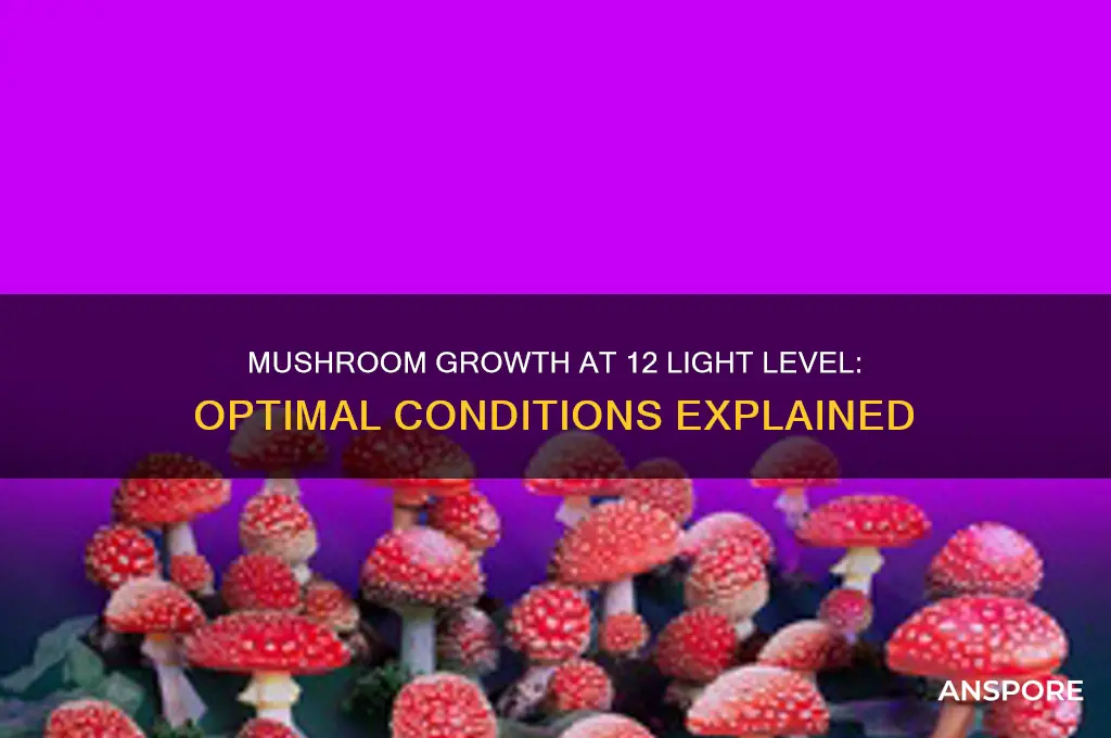 can mushrooms grow at 12 ligth level