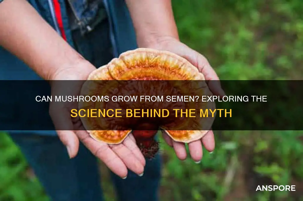 can mushrooms grow from cum