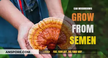 Can Mushrooms Grow from Semen? Unraveling the Myth and Science