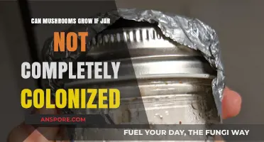 Can Mushrooms Thrive in Partially Colonized Jars? Growing Tips