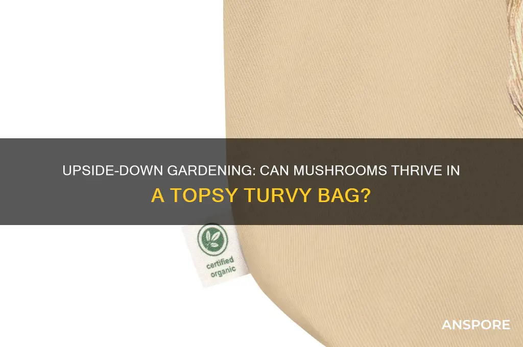 can mushrooms grow in a topsy tervy bag
