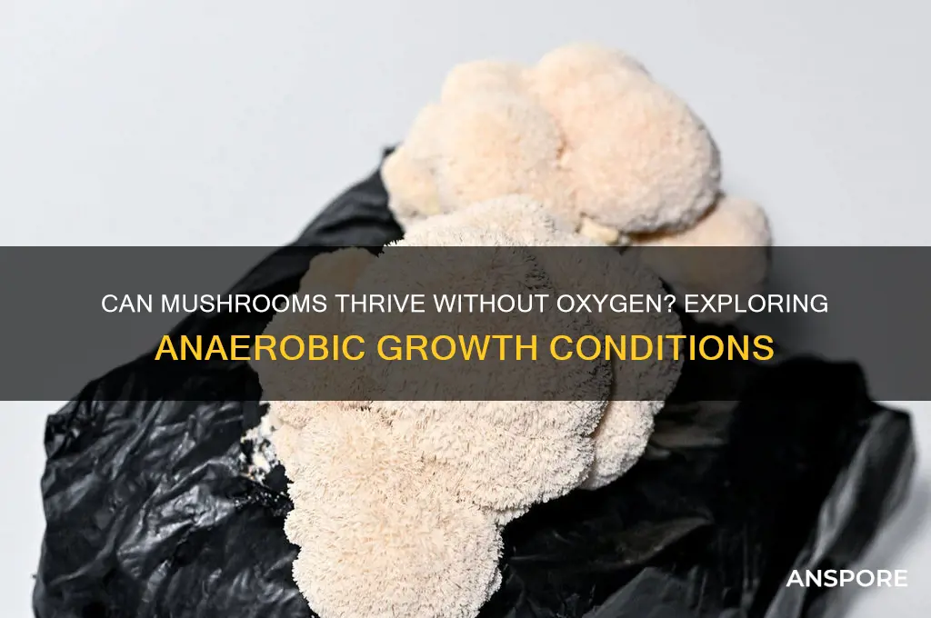 can mushrooms grow in anaerobic