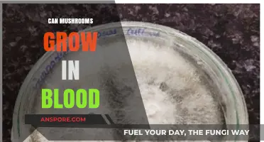 Can Mushrooms Thrive in Blood? Unraveling the Myth and Science
