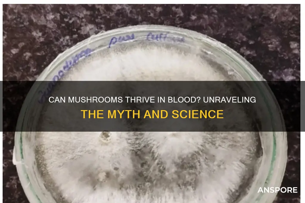 can mushrooms grow in blood