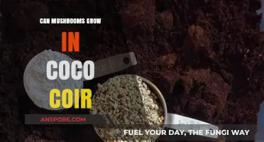 Can Mushrooms Thrive in Coco Coir? A Comprehensive Guide