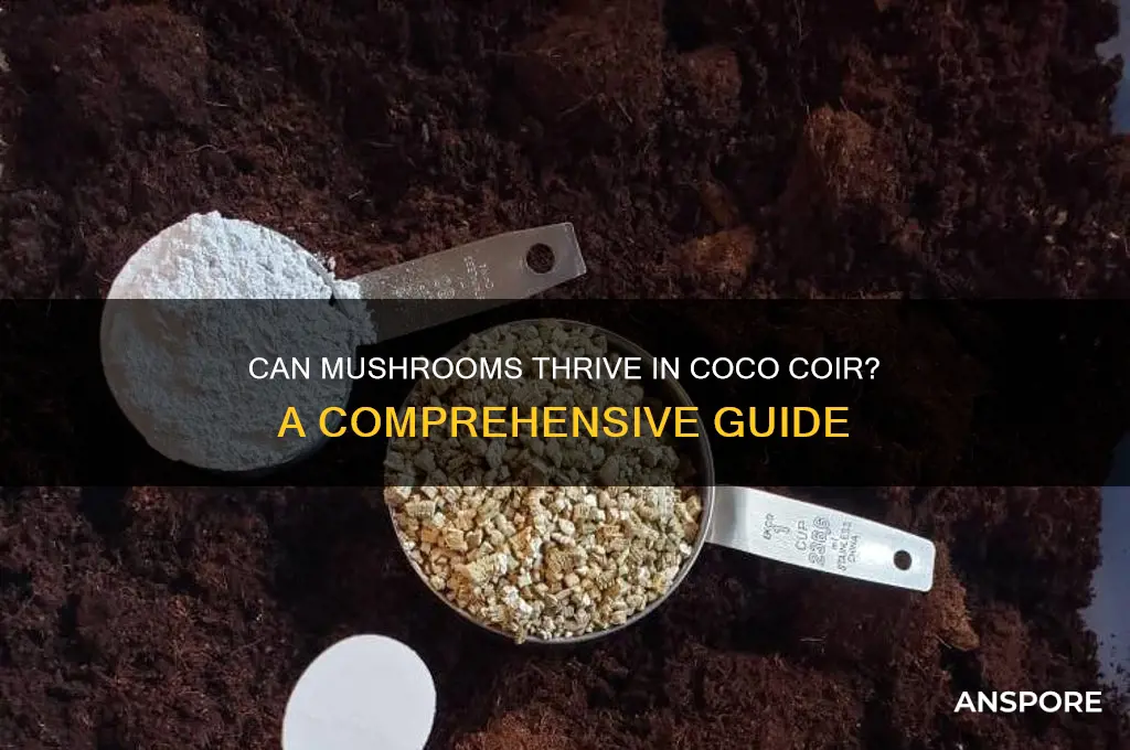 can mushrooms grow in coco coir