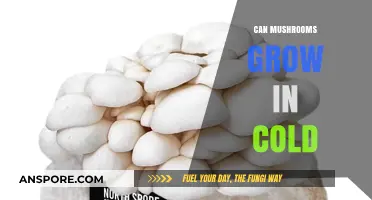 Can Mushrooms Thrive in Cold Climates? Exploring Low-Temperature Growth