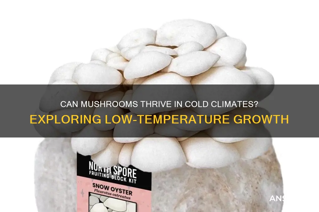 can mushrooms grow in cold
