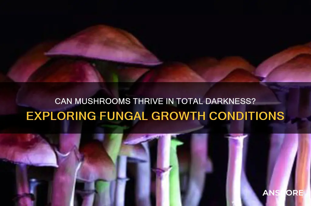 can mushrooms grow in complete darkness