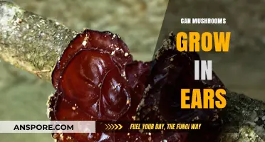 Can Mushrooms Grow in Ears? Unraveling the Truth Behind the Myth