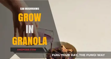 Mushrooms in Granola: Unlikely Growth or Culinary Myth Explored