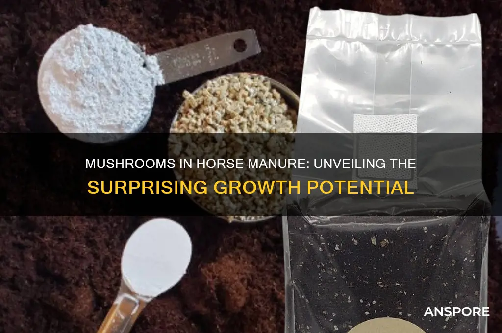 can mushrooms grow in horse poop