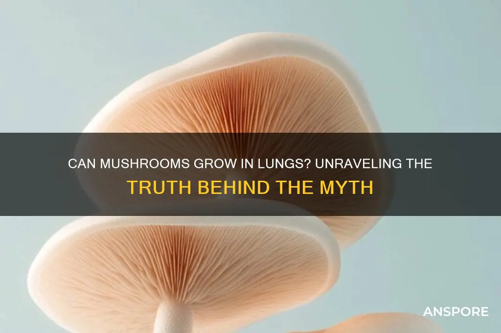 can mushrooms grow in lungs